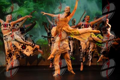 SHOW_02194.jpg